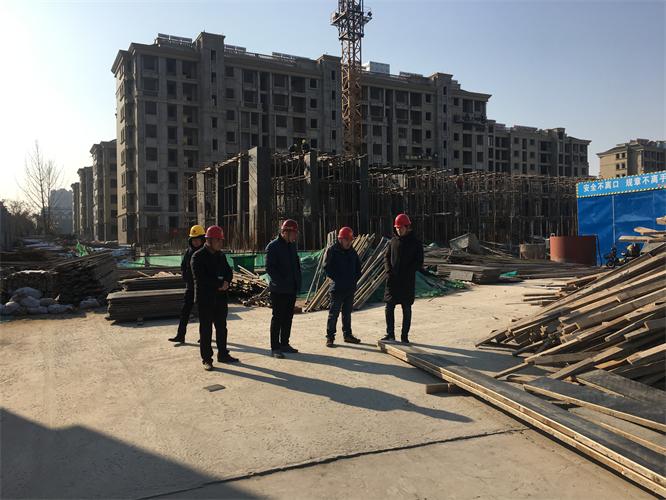 公司組織豐澤園工程專(zhuān)項(xiàng)檢查